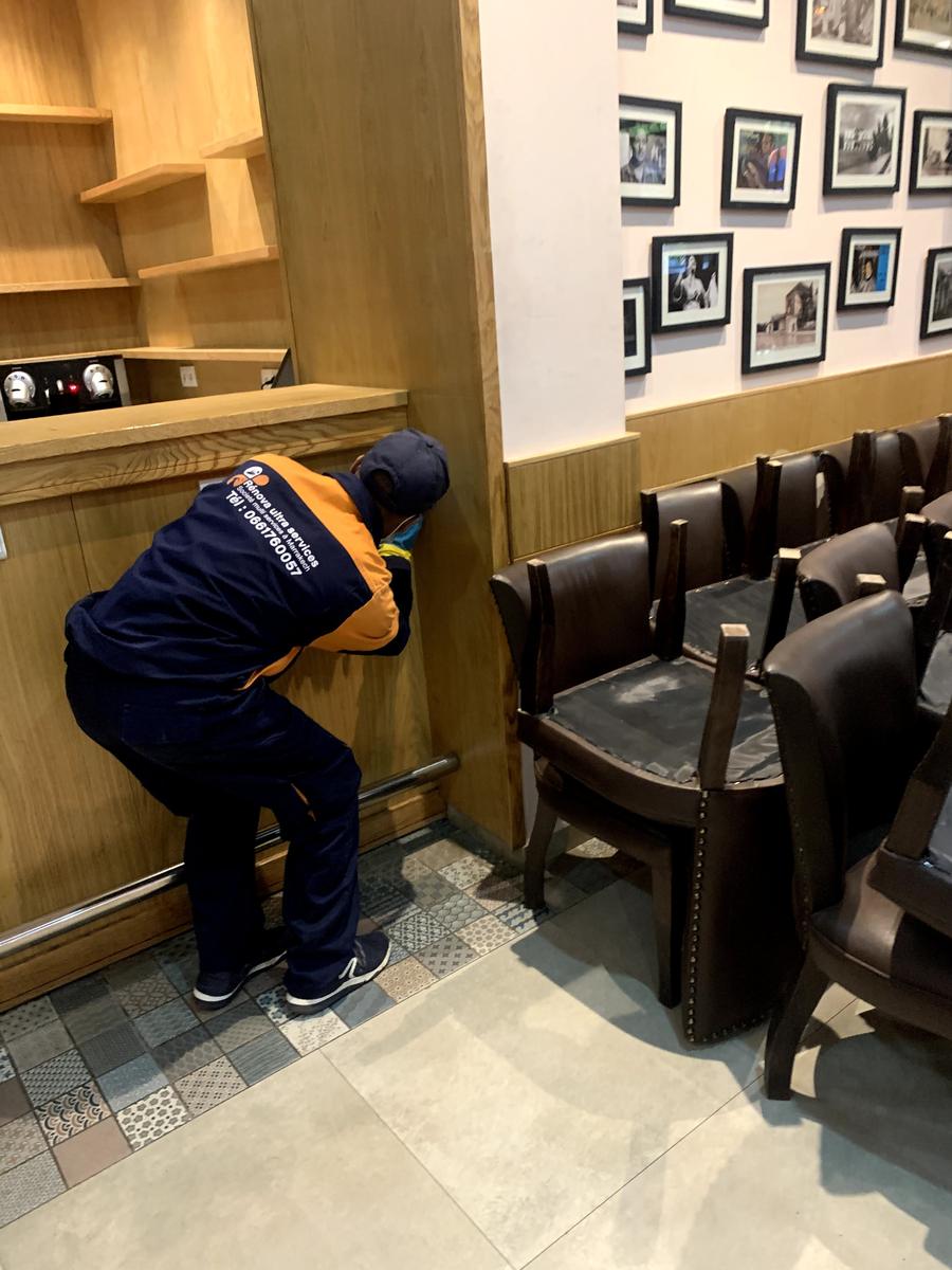 Dératisation de restaurant à Rabat : inspection des points d'entrée derrière les boiseries