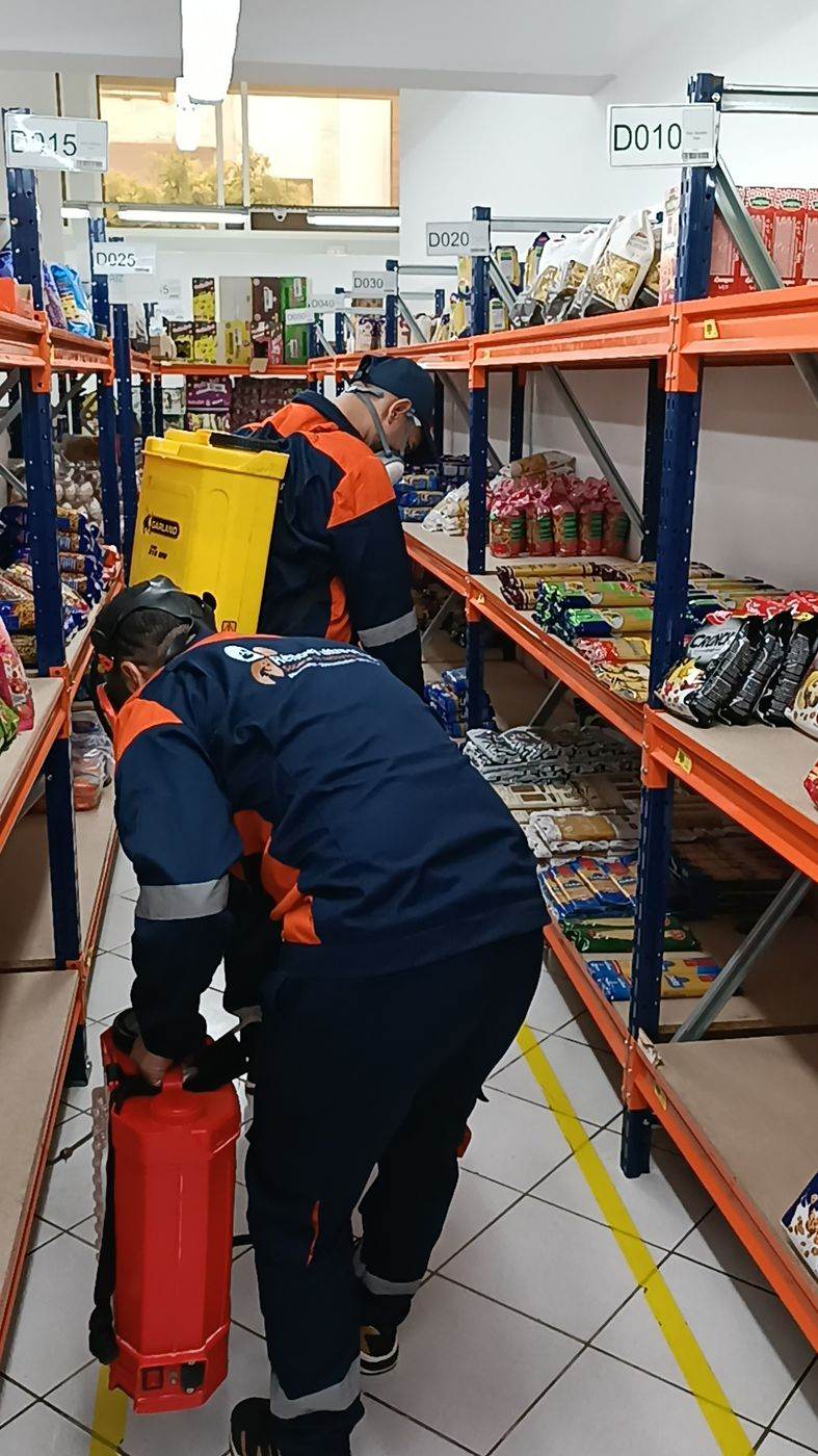 Désinsectisation à Rabat : deux techniciens traitant les linéaires d'une surface de vente alimentaire en dehors des heures d'exploitation